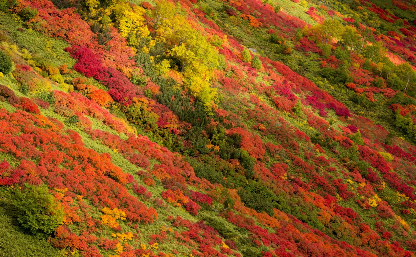 層雲峡／銀泉台